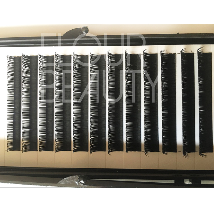 Ellipse flat eyelash extension lashes saskatoon EJ89